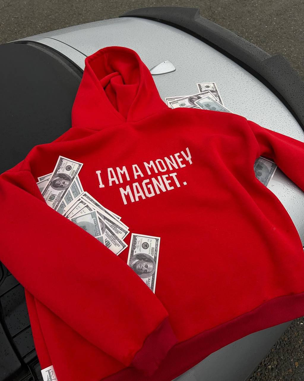 Тепле худі “I am a money magnet”